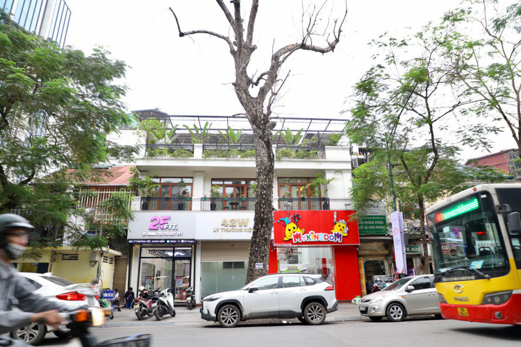 Loat cay chet kho tai quan Hoan Kiem- nhieu nguy co truoc mua bao-Hinh-2