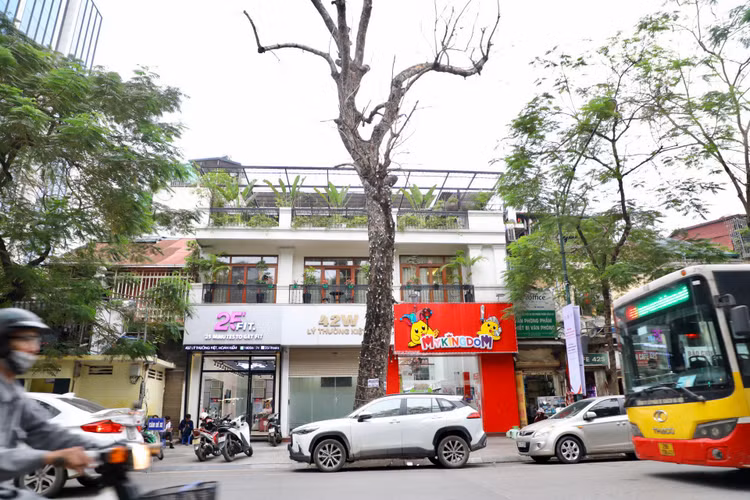 Loat cay chet kho tai quan Hoan Kiem- nhieu nguy co truoc mua bao-Hinh-2