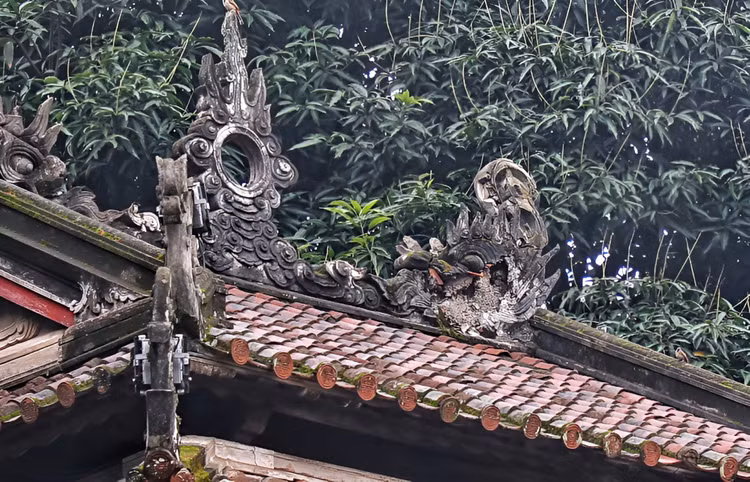 Can canh Khue Van Cac o Van Mieu - Quoc Tu Giam xuong cap nghiem trong-Hinh-3