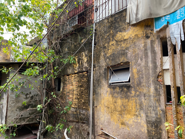 Can canh khu tap the cu o Ha Noi xuong cap, cay moc tren tuong-Hinh-9