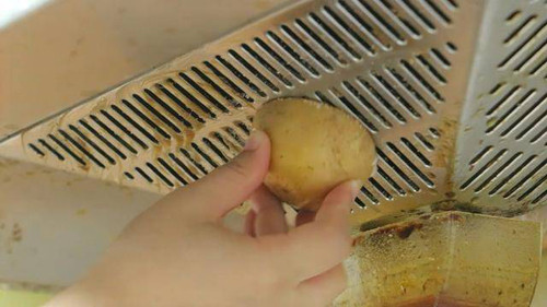 Kinh ngạc mẹo tận dụng khoai tây mọc mầm hữu ích lại tiết kiệm - Hình 5