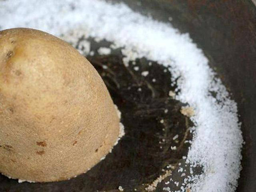 Kinh ngạc mẹo tận dụng khoai tây mọc mầm hữu ích lại tiết kiệm - Hình 7