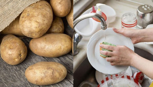 Kinh ngạc mẹo tận dụng khoai tây mọc mầm hữu ích lại tiết kiệm - Hình 6