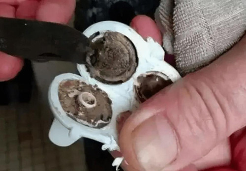 Trẻ mang bình giữ nhiệt đi học nhất định phải cẩn trọng điều này - Hình 9