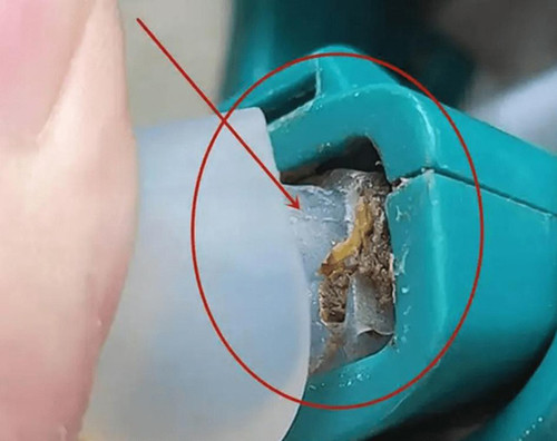 Trẻ mang bình giữ nhiệt đi học nhất định phải cẩn trọng điều này - Hình 8