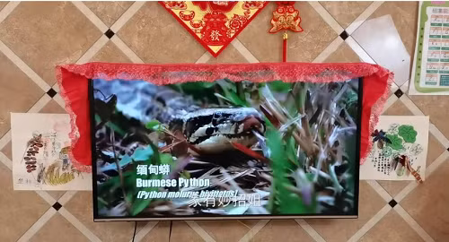 Phủ vải lên tivi ảnh hưởng chức năng tản nhiệt của thiết bị. (Ảnh: ABLW)