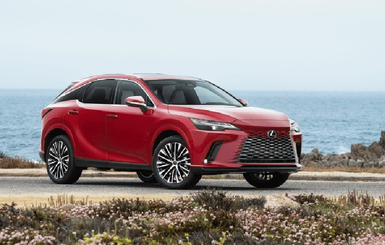 Top 10 mau oto gam cao giu gia nhat nam 2023-Hinh-8