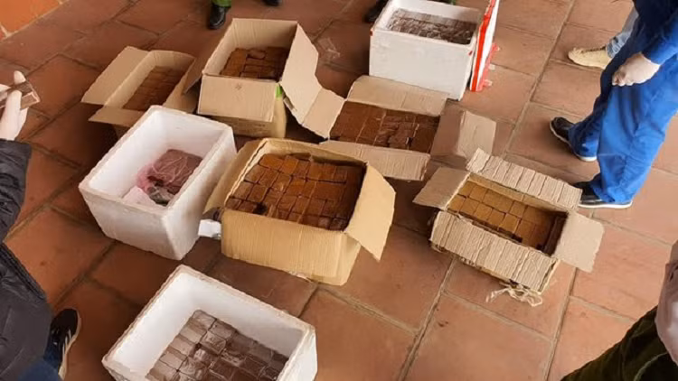 Chu tich xa linh an 3 nam tu giam vi nau cao ho-Hinh-2