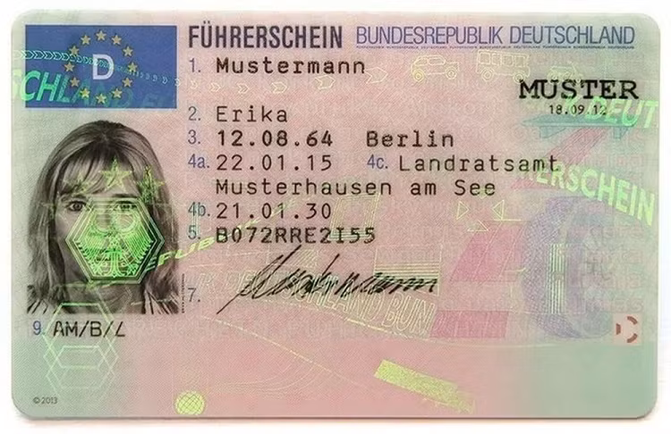 Chau Au sap chuyen sang dung giay phep lai xe dien tu-Hinh-3