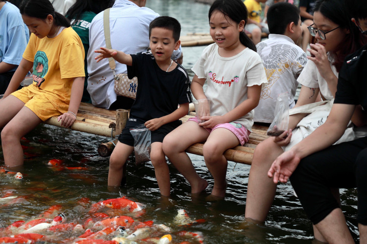 8 tan ca Koi tha xuong Ho Tay thu hut nguoi dan toi vui choi-Hinh-8