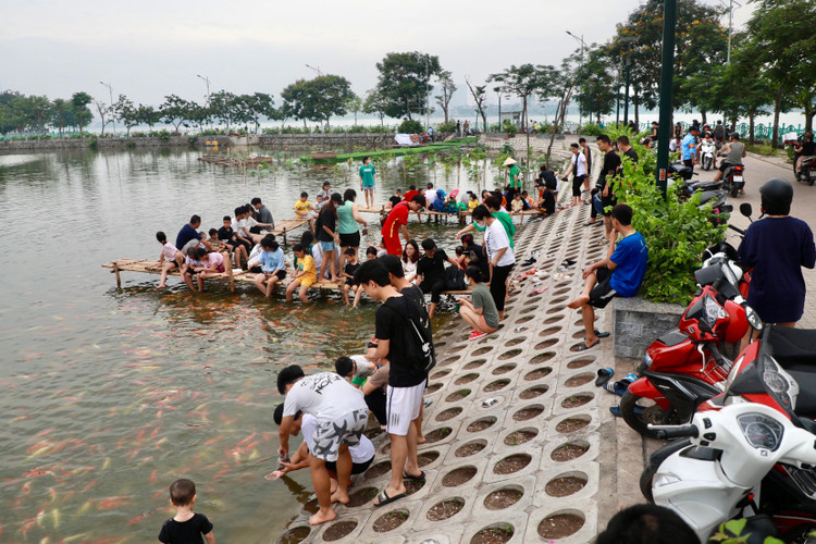8 tan ca Koi tha xuong Ho Tay thu hut nguoi dan toi vui choi