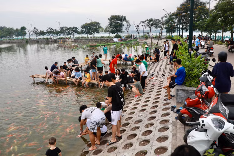 8 tan ca Koi tha xuong Ho Tay thu hut nguoi dan toi vui choi
