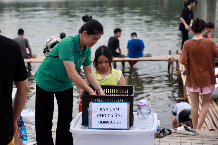 8 tan ca Koi tha xuong Ho Tay thu hut nguoi dan toi vui choi-Hinh-10