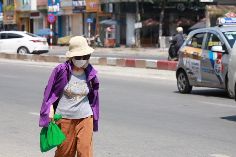 Can canh con duong khong bong cay, nong nhat Thu do-Hinh-6