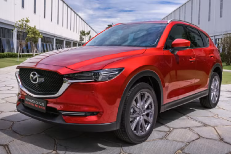 Loat xe oto tai Viet Nam giam gia, “dua” doanh so can Tet Quy Mao-Hinh-8