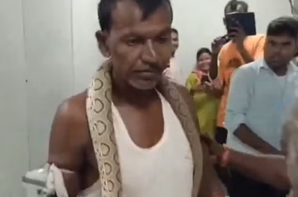 Bi ran doc can, nguoi dan ong lam dieu khien bac si khiep so-Hinh-2