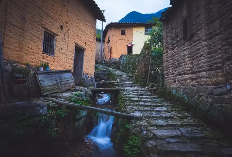 Săn rắn ăn thịt, lão nông hóa 'người rắn' đáng sợ và sự thật San ran an thit, lao nong hoa 'nguoi ran' dang so va su that