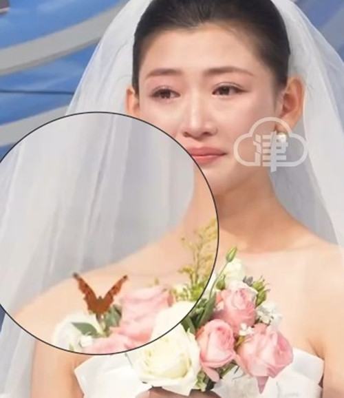 Con bướm bất ngờ đậu lên vai cô dâu và lời hứa nhiệm màu - Hình 7 Con buom bat ngo dau len vai co dau va loi hua nhiem mau-Hinh-7