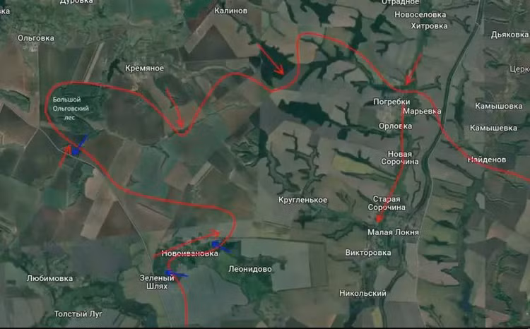 Mat tran Kursk: Nga quyet tam vay chat khu rung Olgovsky-Hinh-6