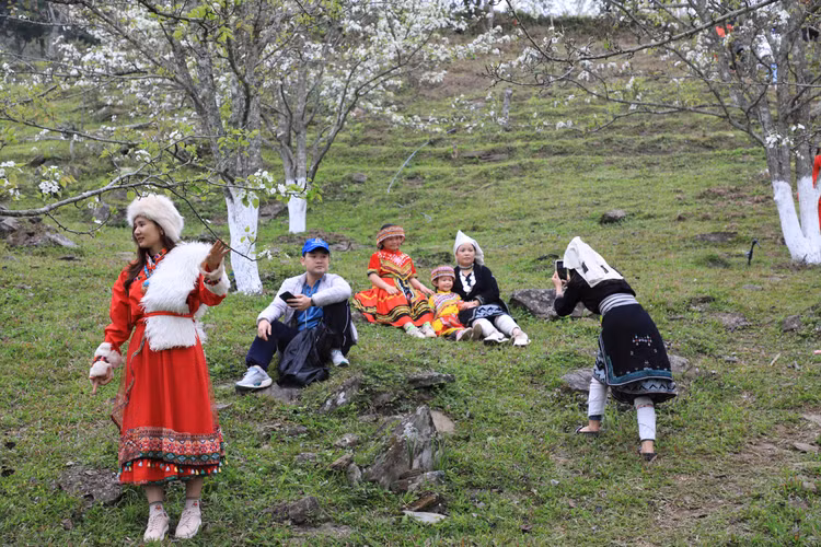 Hang nghin nguoi no nuc check-in tuyen duong hoa le dai nhat Viet Nam-Hinh-10