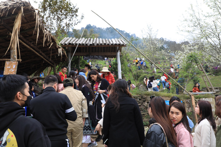 Hang nghin nguoi no nuc check-in tuyen duong hoa le dai nhat Viet Nam-Hinh-2