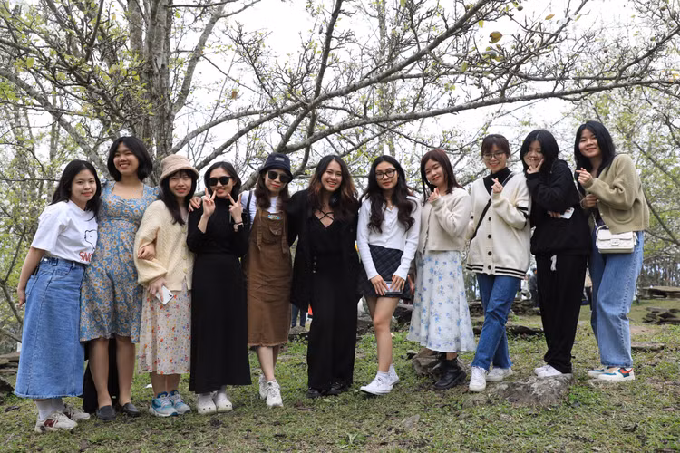 Hang nghin nguoi no nuc check-in tuyen duong hoa le dai nhat Viet Nam-Hinh-11