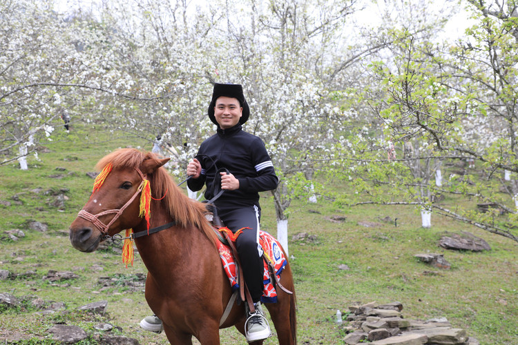 Hang nghin nguoi no nuc check-in tuyen duong hoa le dai nhat Viet Nam-Hinh-9