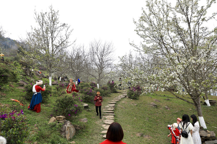 Hang nghin nguoi no nuc check-in tuyen duong hoa le dai nhat Viet Nam-Hinh-3