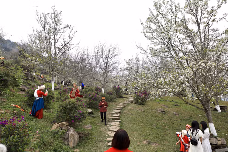 Hang nghin nguoi no nuc check-in tuyen duong hoa le dai nhat Viet Nam-Hinh-3