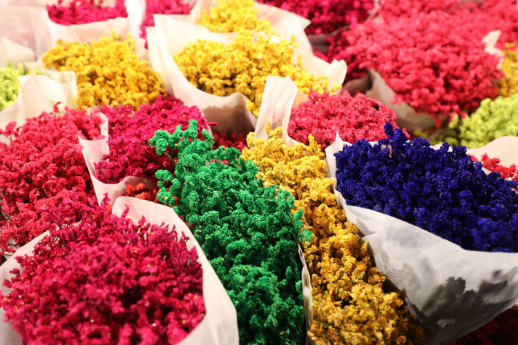 Quang Ba: Cam dong canh dang may rau xuyen dem chon hoa dip 8/3-Hinh-6