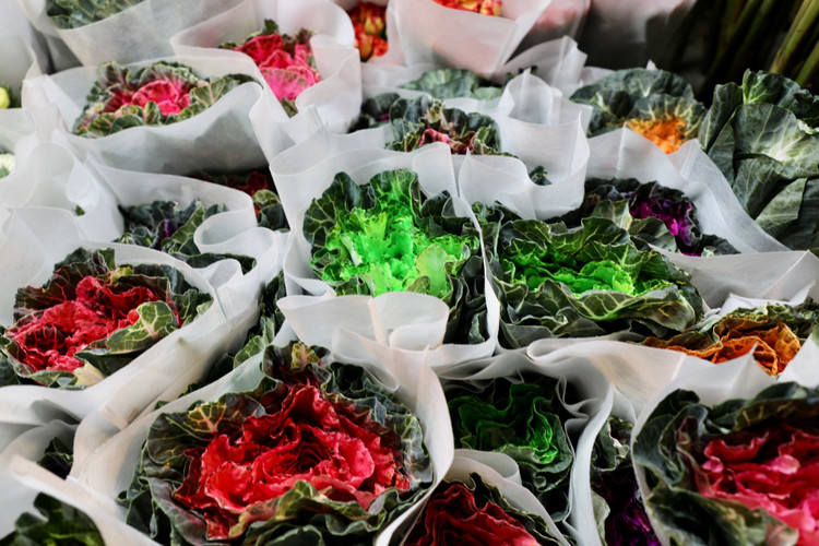 Quang Ba: Cam dong canh dang may rau xuyen dem chon hoa dip 8/3-Hinh-7