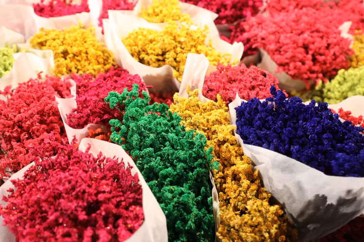 Quang Ba: Cam dong canh dang may rau xuyen dem chon hoa dip 8/3-Hinh-6