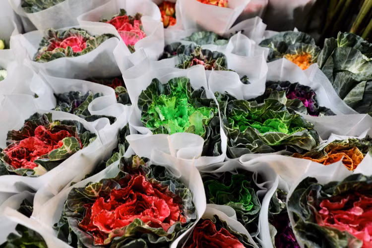 Quang Ba: Cam dong canh dang may rau xuyen dem chon hoa dip 8/3-Hinh-7