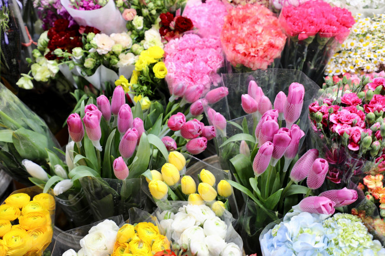 Quang Ba: Cam dong canh dang may rau xuyen dem chon hoa dip 8/3-Hinh-5