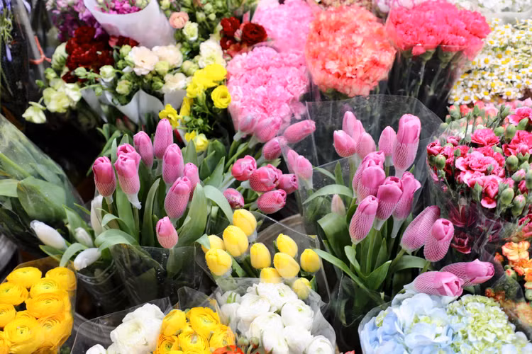 Quang Ba: Cam dong canh dang may rau xuyen dem chon hoa dip 8/3-Hinh-5