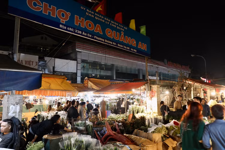 Quang Ba: Cam dong canh dang may rau xuyen dem chon hoa dip 8/3