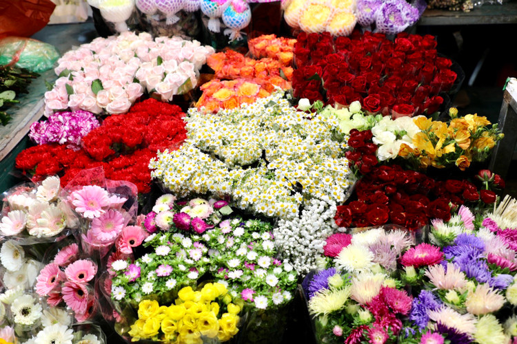 Quang Ba: Cam dong canh dang may rau xuyen dem chon hoa dip 8/3-Hinh-4