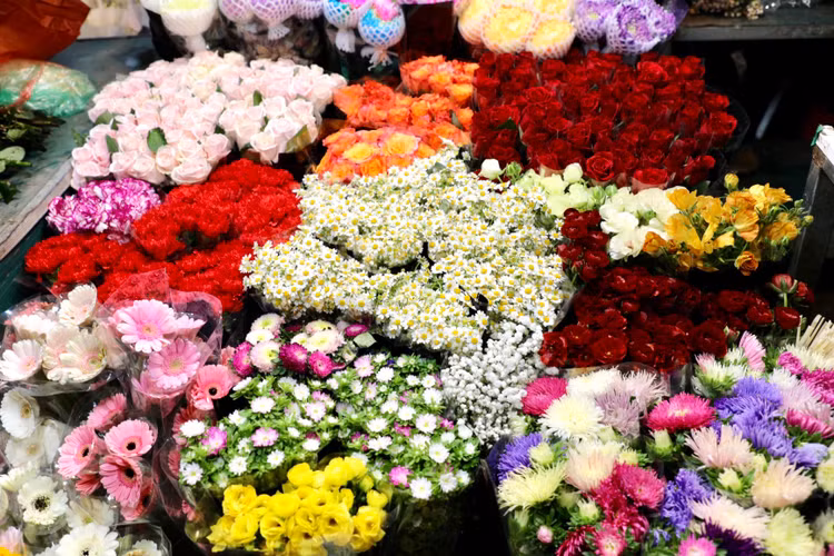 Quang Ba: Cam dong canh dang may rau xuyen dem chon hoa dip 8/3-Hinh-4