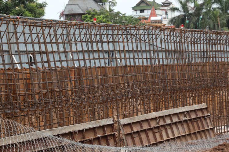 Ha Noi: Da vao mua mua lu, de huu Hong van cham tien do-Hinh-6