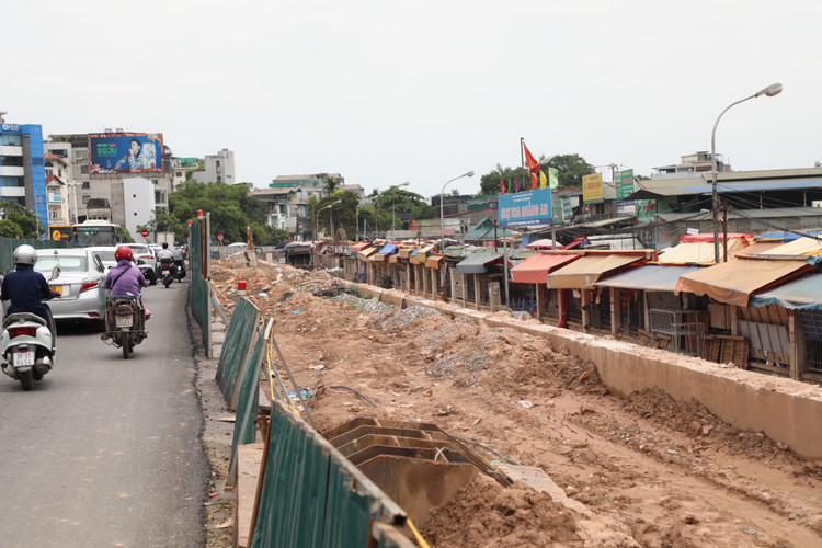 Ha Noi: Da vao mua mua lu, de huu Hong van cham tien do-Hinh-10
