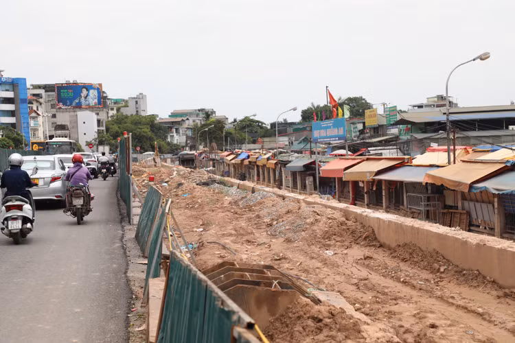 Ha Noi: Da vao mua mua lu, de huu Hong van cham tien do-Hinh-10