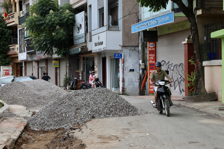 Ha Noi: Da vao mua mua lu, de huu Hong van cham tien do-Hinh-8