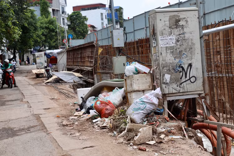 Ha Noi: Da vao mua mua lu, de huu Hong van cham tien do-Hinh-9