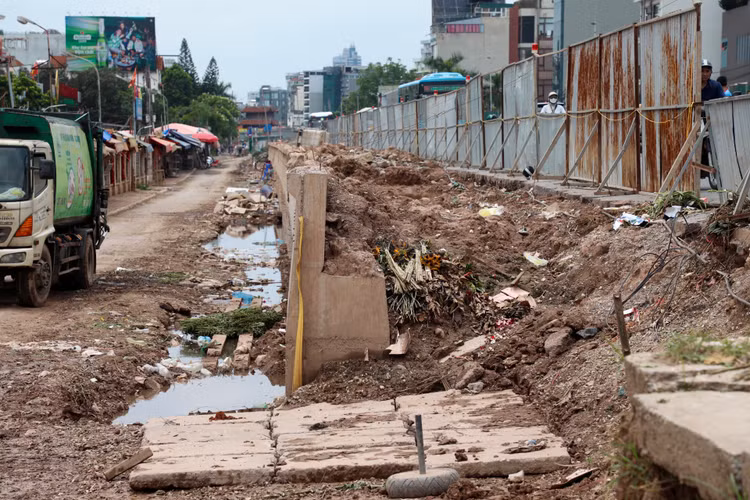 Ha Noi: Da vao mua mua lu, de huu Hong van cham tien do-Hinh-3