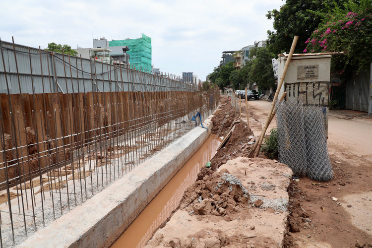 Ha Noi: Da vao mua mua lu, de huu Hong van cham tien do-Hinh-5