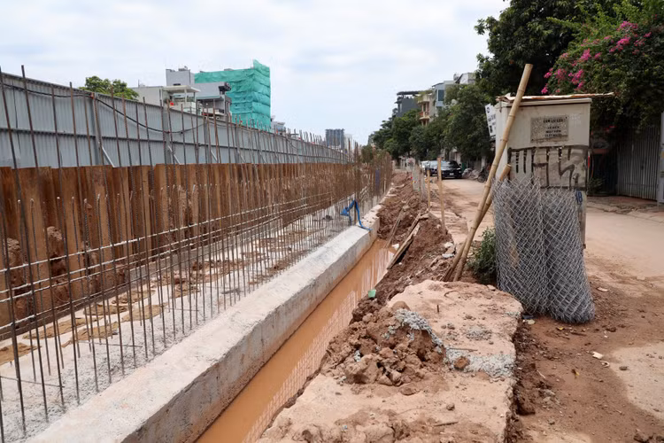 Ha Noi: Da vao mua mua lu, de huu Hong van cham tien do-Hinh-5