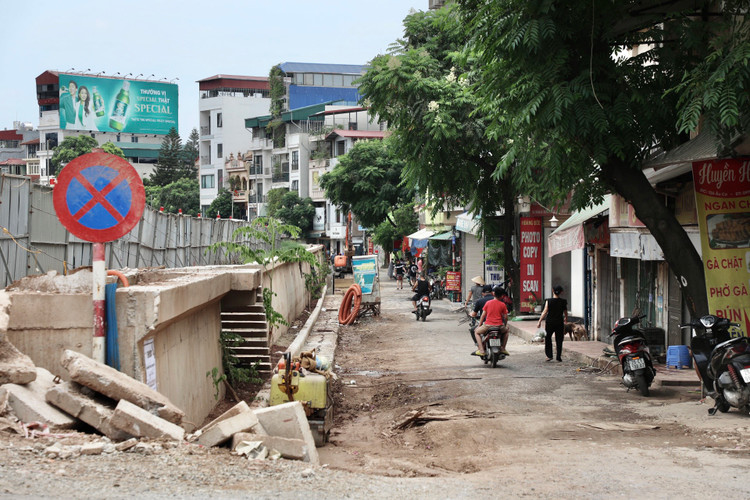 Ha Noi: Da vao mua mua lu, de huu Hong van cham tien do-Hinh-2