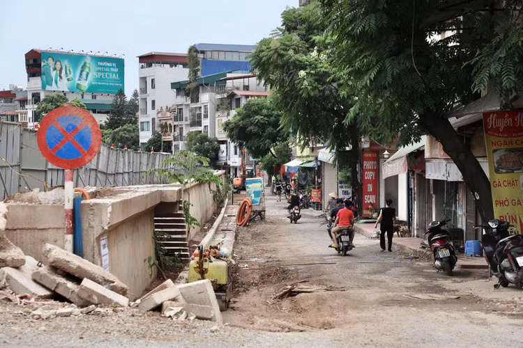 Ha Noi: Da vao mua mua lu, de huu Hong van cham tien do-Hinh-2