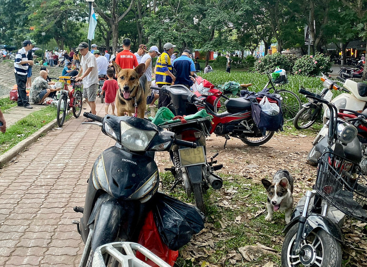 Be trai bi cho can thung bung: Nhan nhan cho tha rong khong ro mom