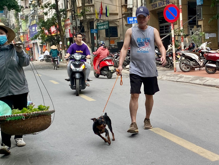 Be trai bi cho can thung bung: Nhan nhan cho tha rong khong ro mom-Hinh-9